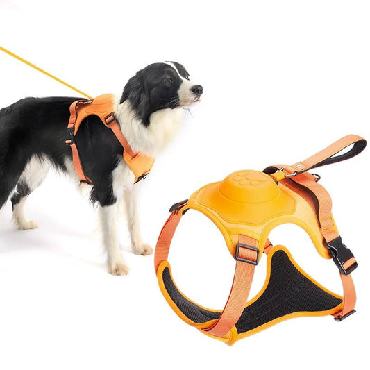 2 In 1 Wholesale Retractable Dog Leash